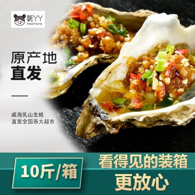 蚝丫丫|乳山生蚝鲜活肥嫩 现捞现发 大号（3-4两/只） 10斤/箱